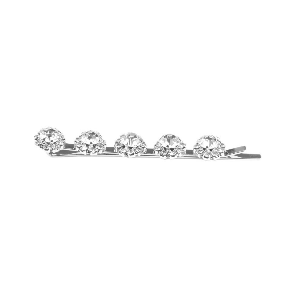 ❤️Polished Posies Hair Clip